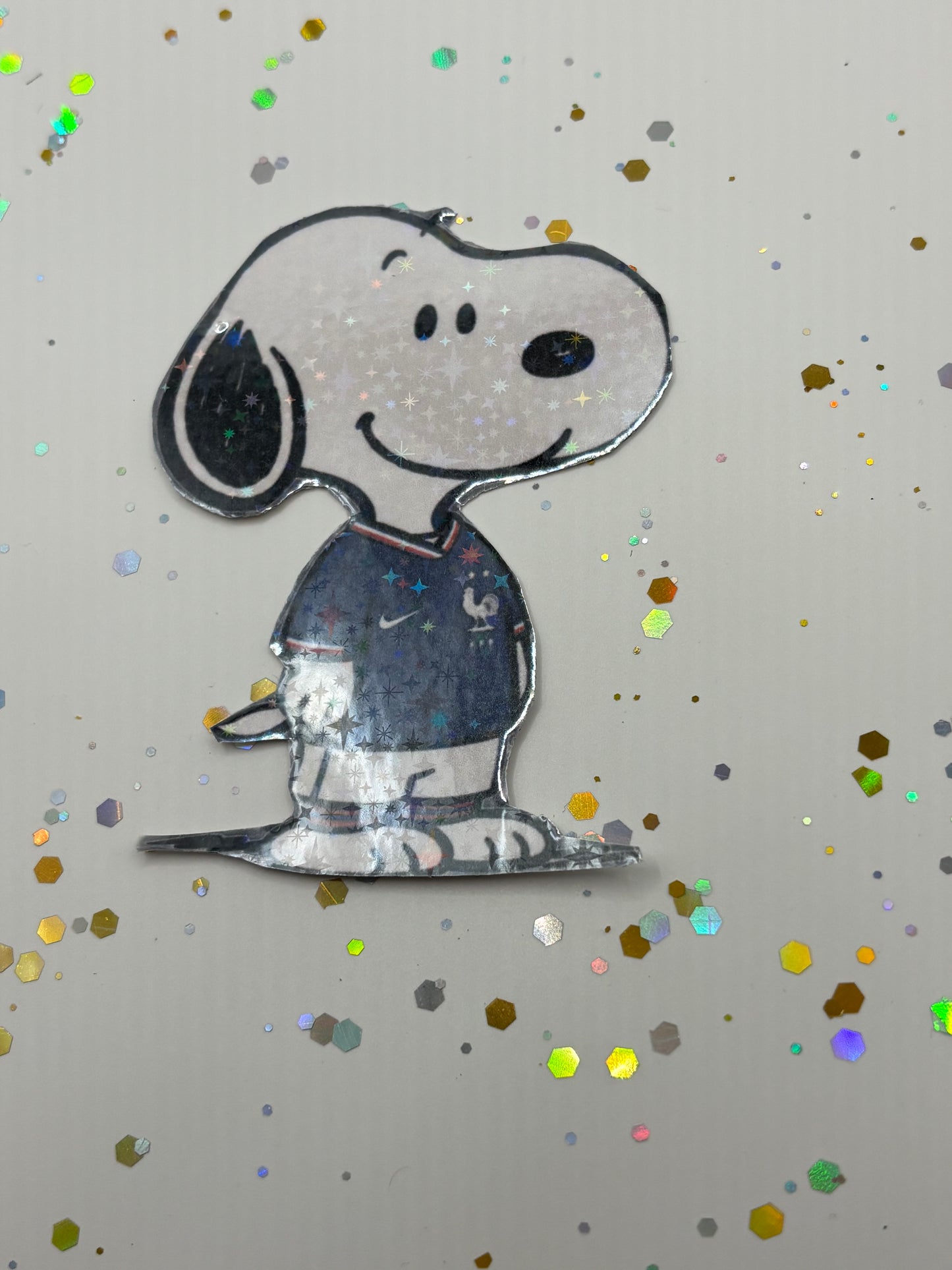 Snoopy x Soccer