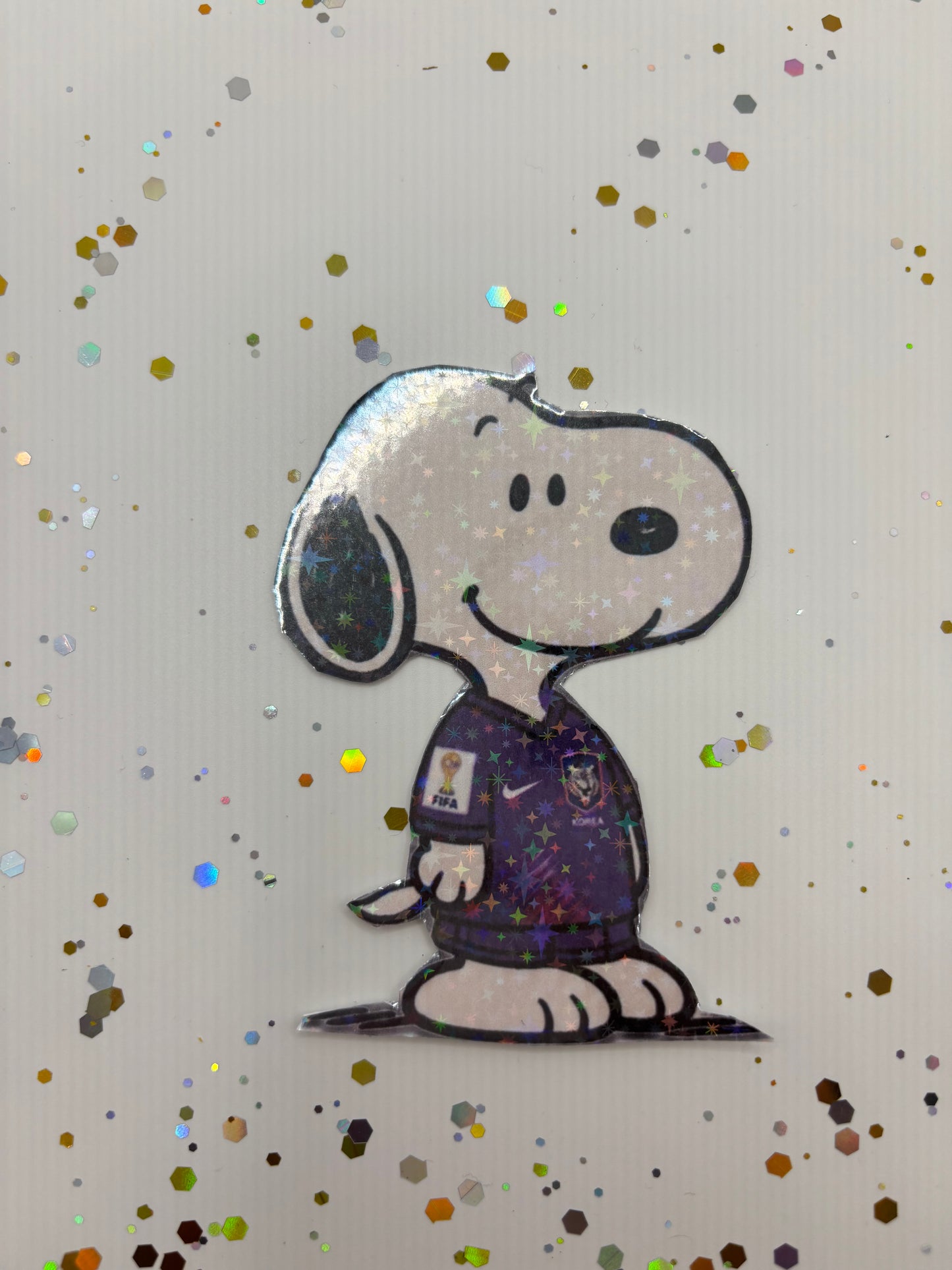 Snoopy x Soccer