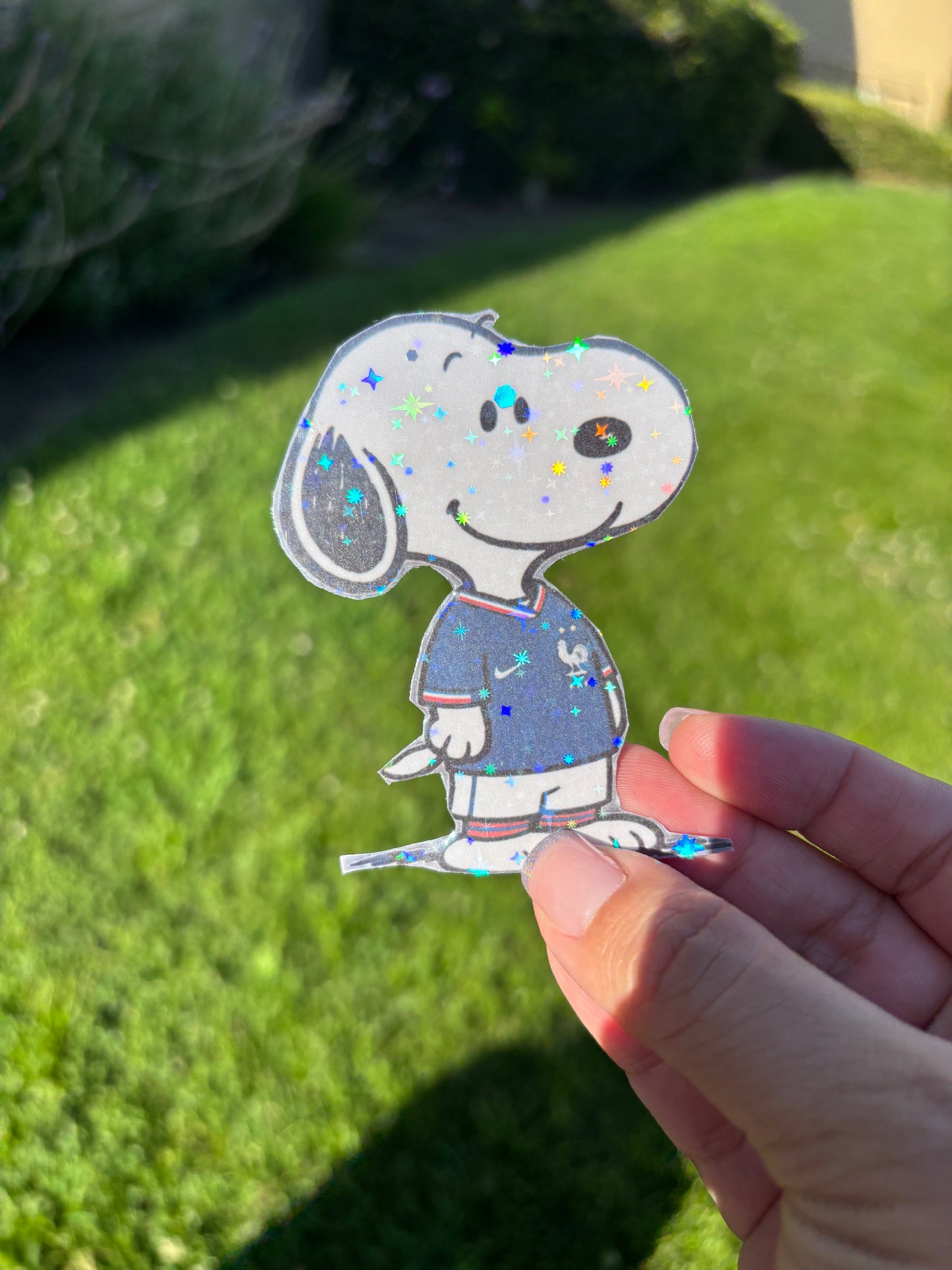 Snoopy x Soccer