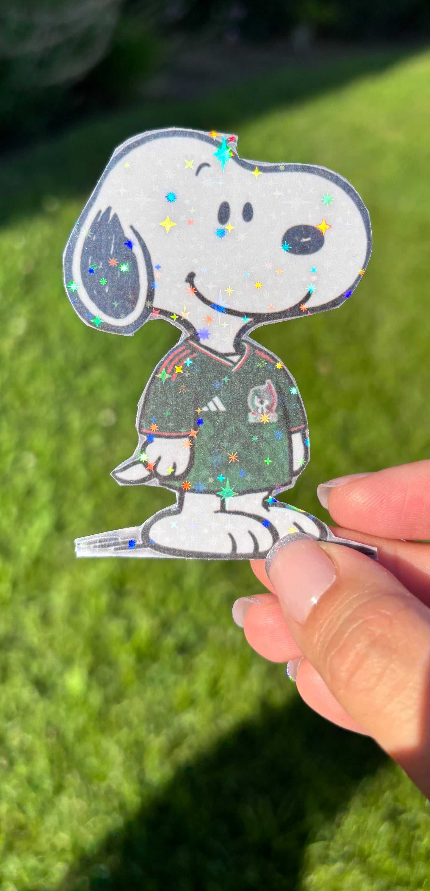 Snoopy x Soccer