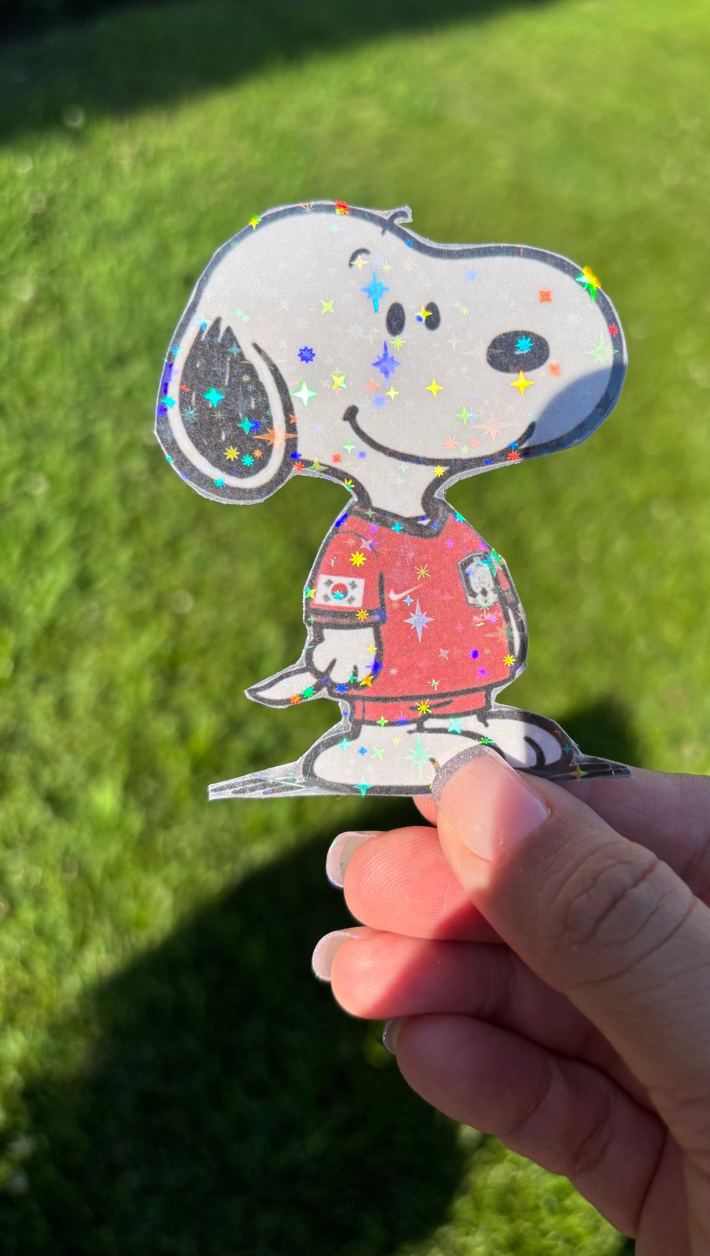 Snoopy x Soccer