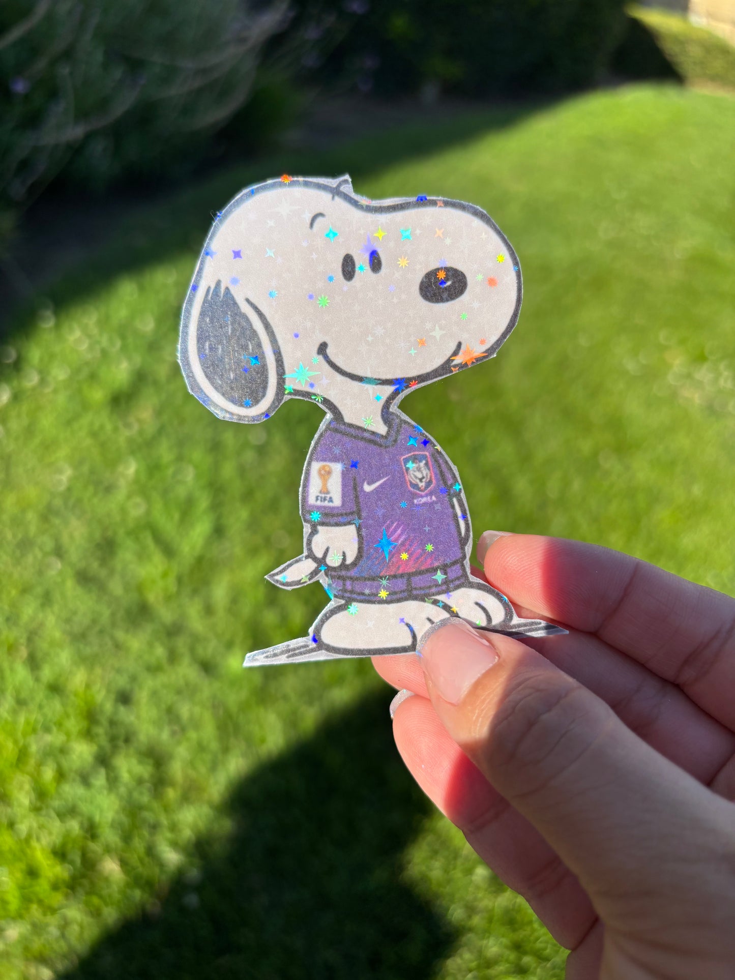 Snoopy x Soccer